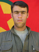 Serdar - Numan Temoyi